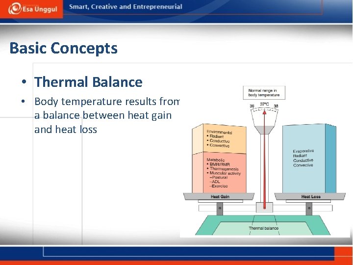 Basic Concepts • Thermal Balance • Body temperature results from a balance between heat