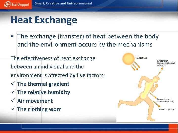 Heat Exchange • The exchange (transfer) of heat between the body and the environment