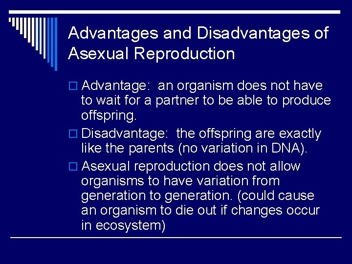 Advantages and Disadvantages of Asexual Reproduction o Advantage: an organism does not have to