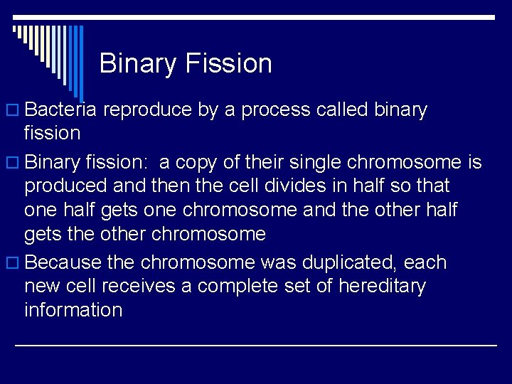 Binary Fission o Bacteria reproduce by a process called binary fission o Binary fission: