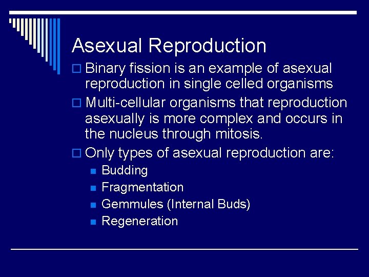 Asexual Reproduction o Binary fission is an example of asexual reproduction in single celled
