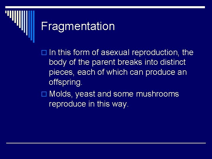 Fragmentation o In this form of asexual reproduction, the body of the parent breaks
