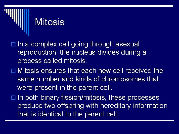 Mitosis o In a complex cell going through asexual reproduction, the nucleus divides during