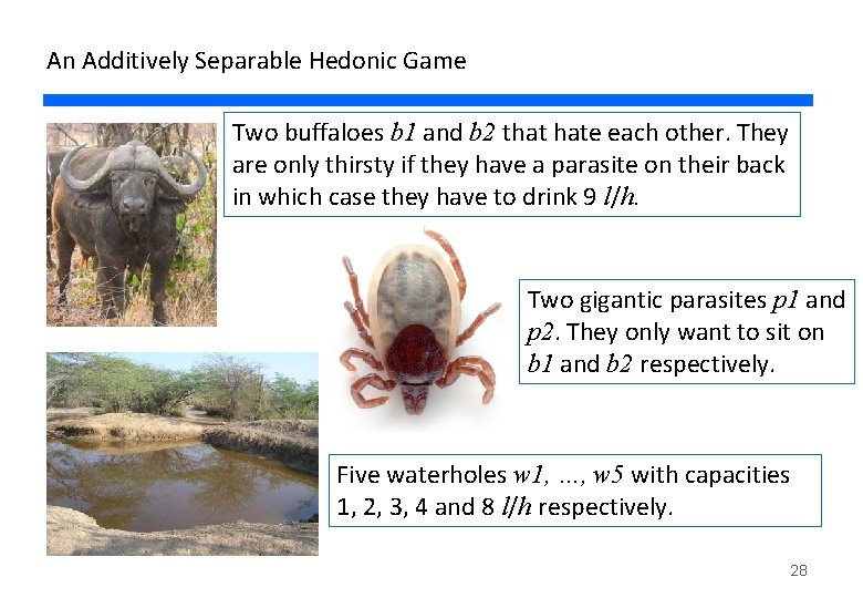 An Additively Separable Hedonic Game Two buffaloes b 1 and b 2 that hate