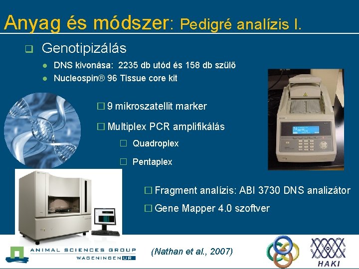 Anyag és módszer: Pedigré analízis I. q Genotipizálás l l DNS kivonása: 2235 db