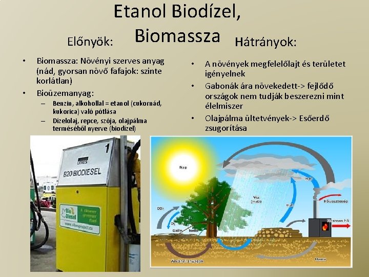 Etanol Biodízel, Biomassza Hátrányok: Előnyök: • • Biomassza: Növényi szerves anyag (nád, gyorsan növő