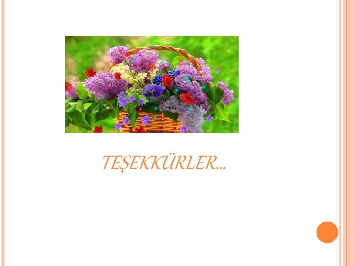 TEŞEKKÜRLER… 