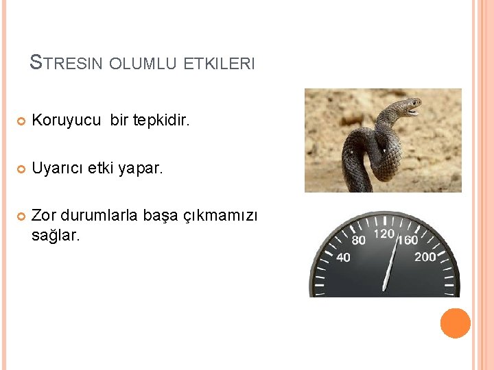 STRESIN OLUMLU ETKILERI Koruyucu bir tepkidir. Uyarıcı etki yapar. Zor durumlarla başa çıkmamızı sağlar.