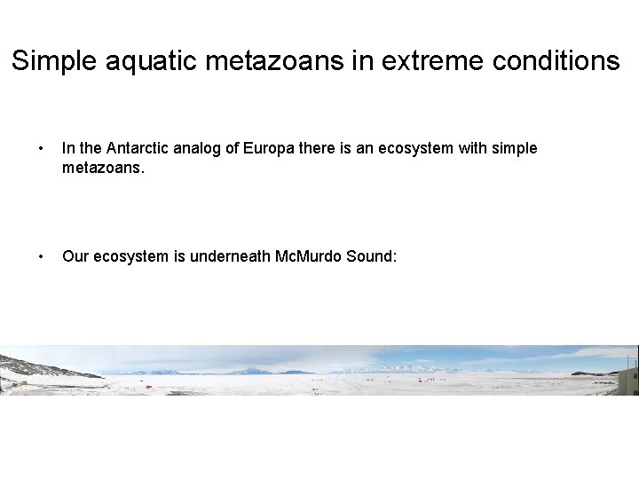 Simple aquatic metazoans in extreme conditions • In the Antarctic analog of Europa there