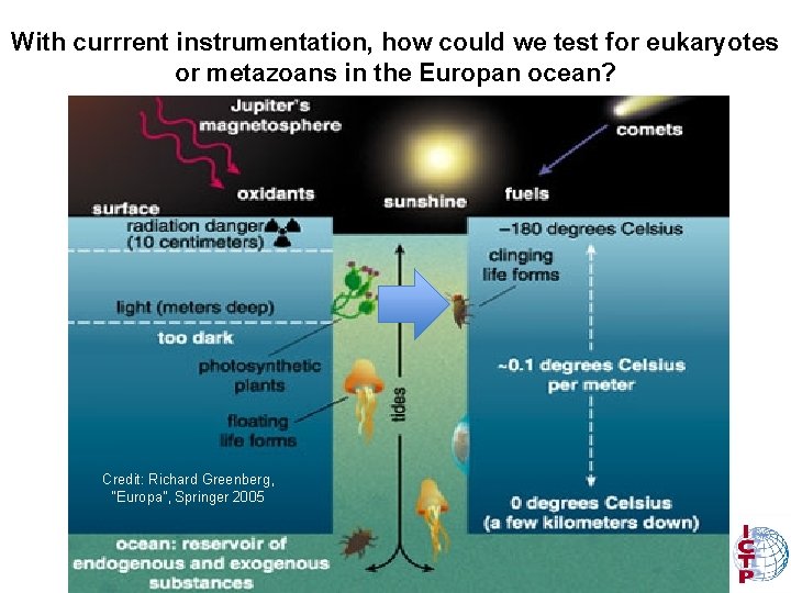With currrent instrumentation, how could we test for eukaryotes or metazoans in the Europan