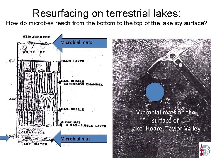 Resurfacing on terrestrial lakes: How do microbes reach from the bottom to the top
