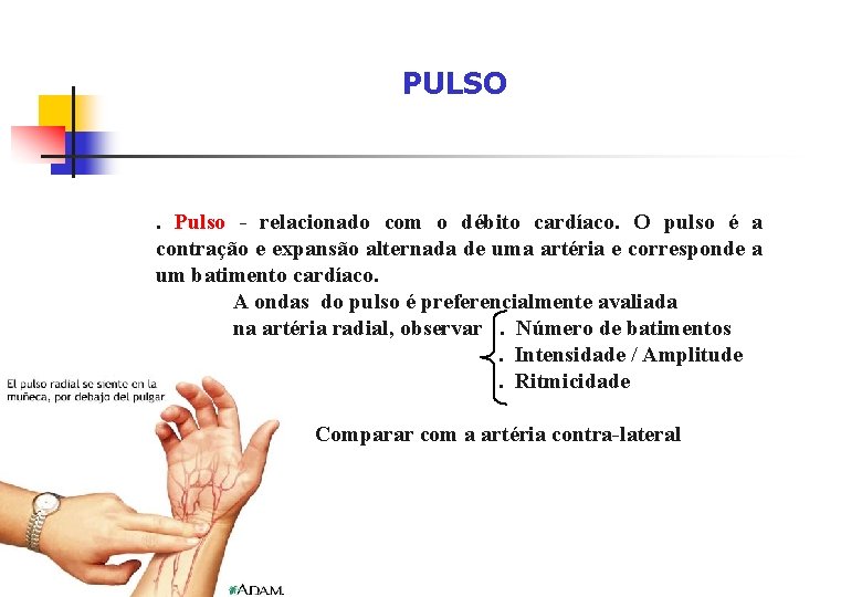 PULSO . Pulso - relacionado com o débito cardíaco. O pulso é a contração