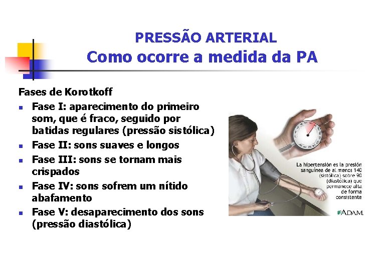 PRESSÃO ARTERIAL Como ocorre a medida da PA Fases de Korotkoff n Fase I: