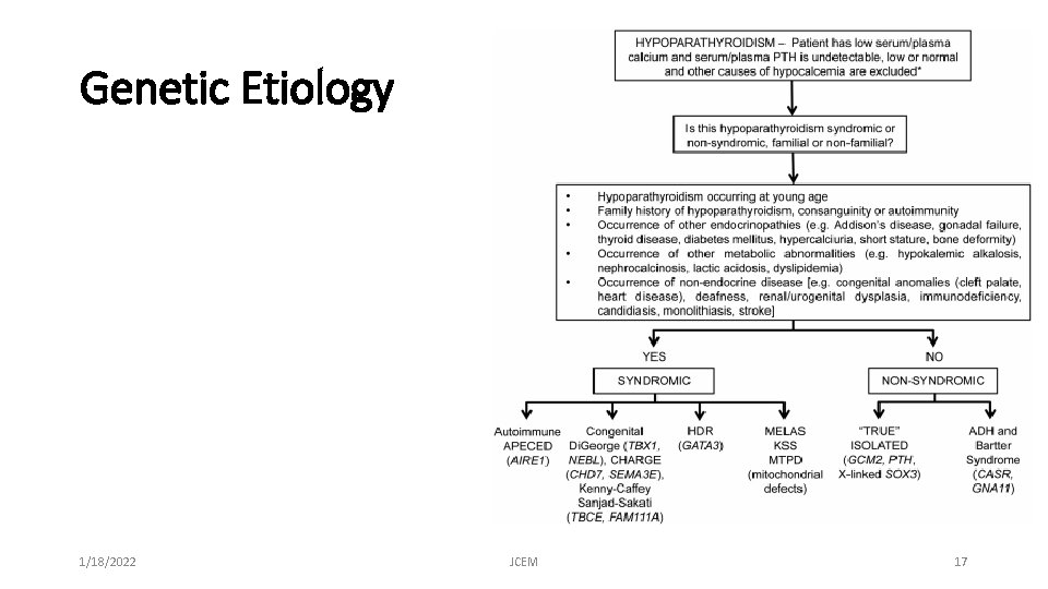 Genetic Etiology 1/18/2022 JCEM 17 