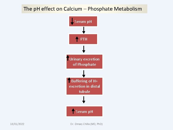 The p. H effect on Calcium – Phosphate Metabolism Serum p. H PTH Urinary
