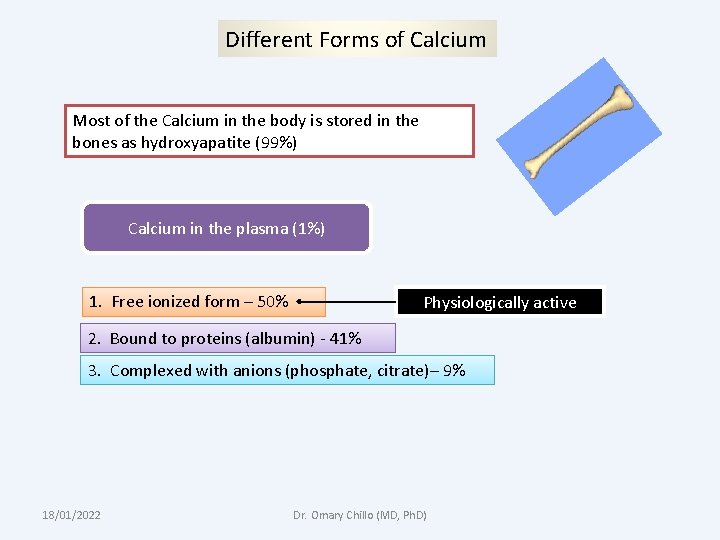 Different Forms of Calcium Most of the Calcium in the body is stored in