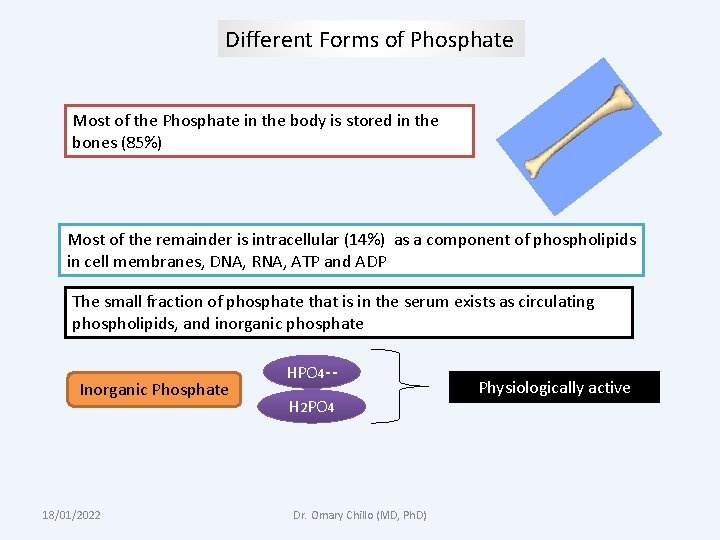 Different Forms of Phosphate Most of the Phosphate in the body is stored in