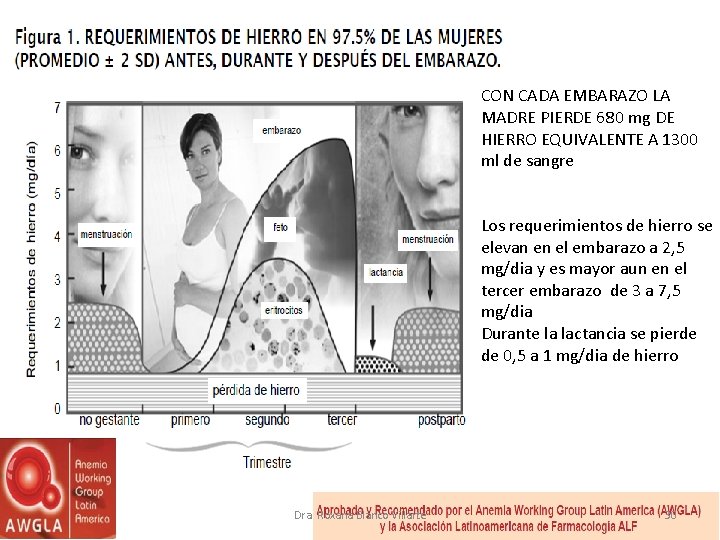 CON CADA EMBARAZO LA MADRE PIERDE 680 mg DE HIERRO EQUIVALENTE A 1300 ml