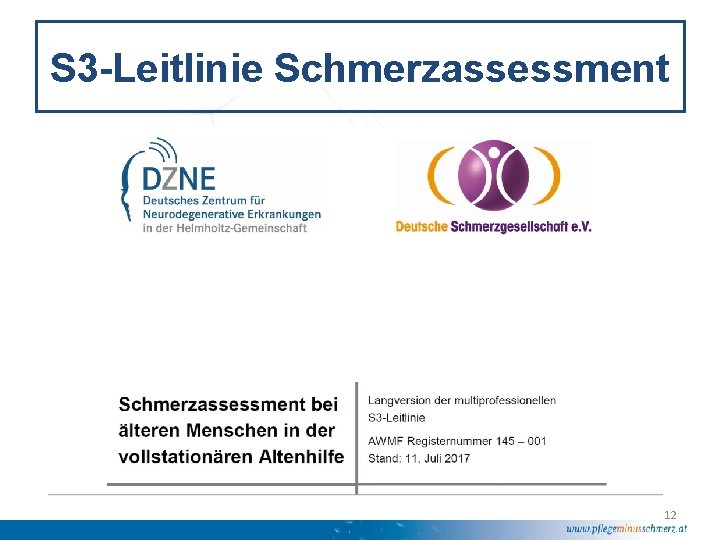 S 3 -Leitlinie Schmerzassessment 12 