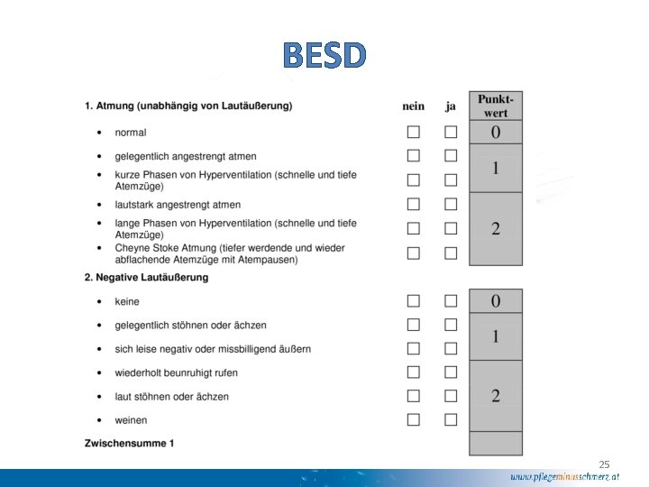 BESD 25 