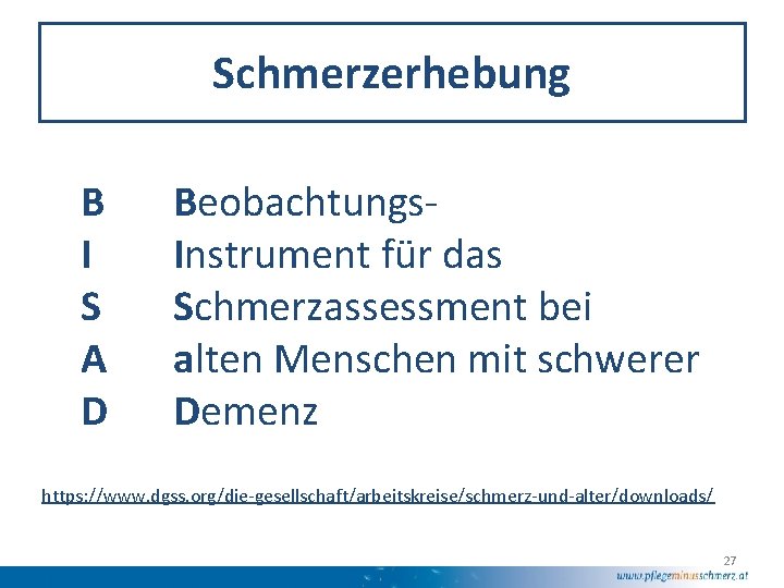 Schmerzerhebung B I S A D Beobachtungs. Instrument für das Schmerzassessment bei alten Menschen