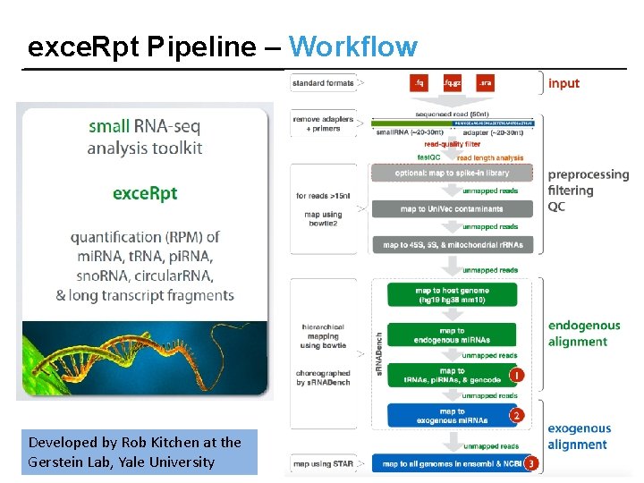 exce. Rpt Pipeline – Workflow Developed by Rob Kitchen at the Gerstein Lab, Yale exce. Rpt Pipeline – Workflow Developed by Rob Kitchen at the Gerstein Lab, Yale