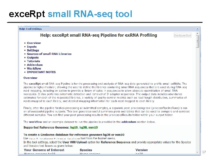 exce. Rpt small RNA-seq tool 17 exce. Rpt small RNA-seq tool 17