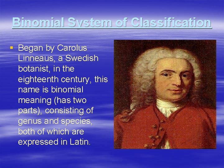 Binomial System of Classification § Began by Carolus Linneaus, a Swedish botanist, in the