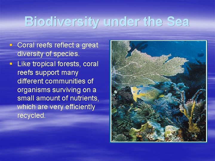 Biodiversity under the Sea § Coral reefs reflect a great diversity of species. §