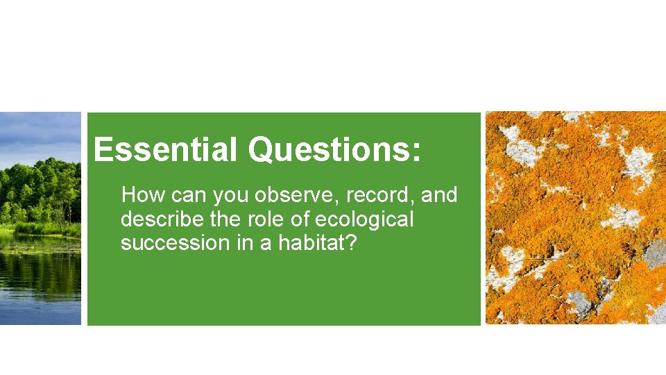 Essential Questions: How can you observe, record, and describe the role of ecological succession