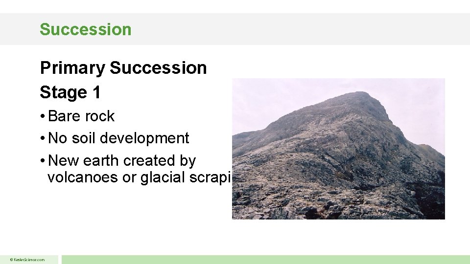 Succession Primary Succession Stage 1 • Bare rock • No soil development • New