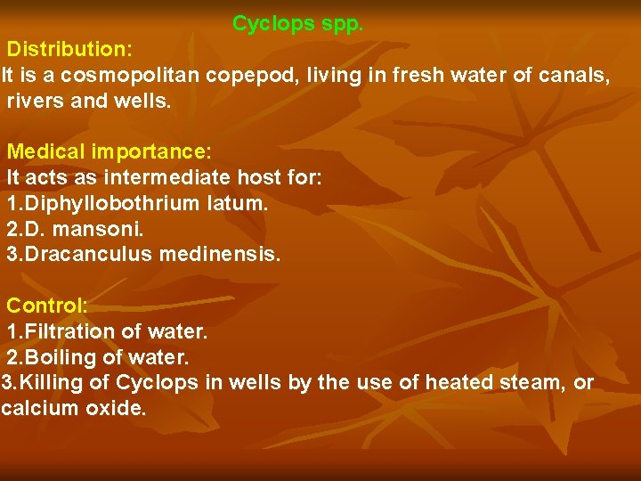 Cyclops spp. Distribution: It is a cosmopolitan copepod, living in fresh water of canals,