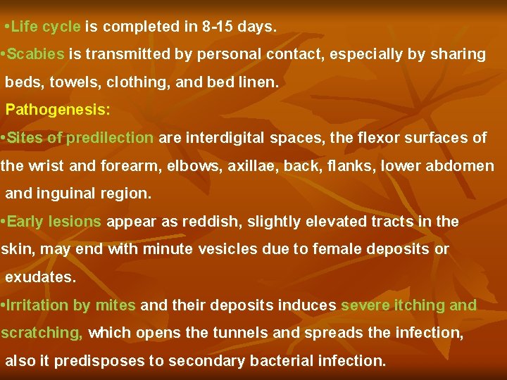  • Life cycle is completed in 8 -15 days. • Scabies is transmitted