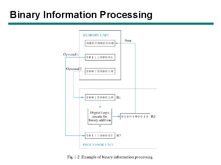 Binary Information Processing Binary Information Processing