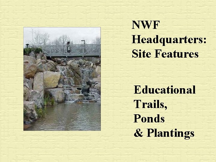 NWF Headquarters: Site Features Educational Trails, Ponds & Plantings 