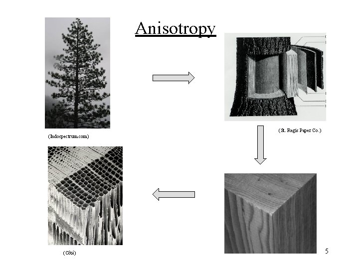 Anisotropy (St. Regis Paper Co. ) (Indospectrum. com) (Côté) 5 