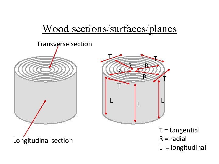 Wood sections/surfaces/planes Transverse section T R R T L Longitudinal section L T T