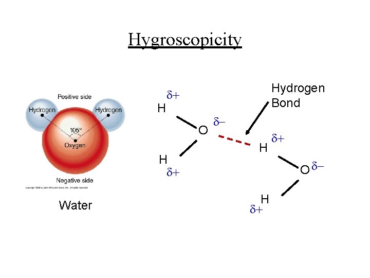 Hygroscopicity H Hydrogen Bond O H Water H O H 