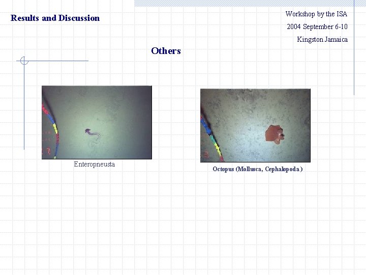 Workshop by the ISA Results and Discussion 2004 September 6 -10 Kingston Jamaica Others