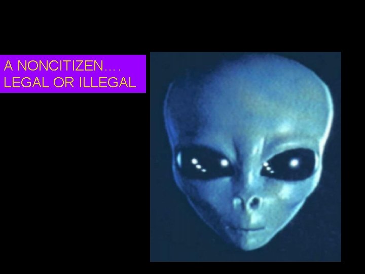 A NONCITIZEN…. LEGAL OR ILLEGAL 