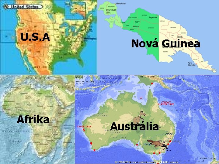 Miesta výskytu U. S. A Afrika Nová Guinea Austrália 