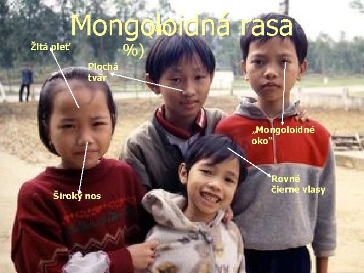 Mongoloidná rasa (40 %) Žltá pleť Plochá tvár „Mongoloidné oko“ Široký nos Rovné čierne