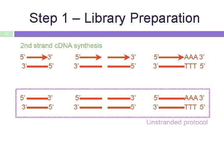 Step 1 – Library Preparation 12 
