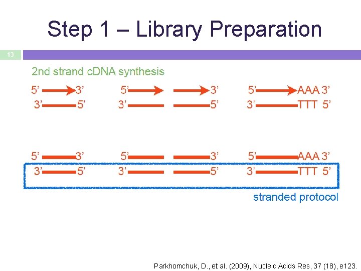Step 1 – Library Preparation 13 Parkhomchuk, D. , et al. (2009), Nucleic Acids