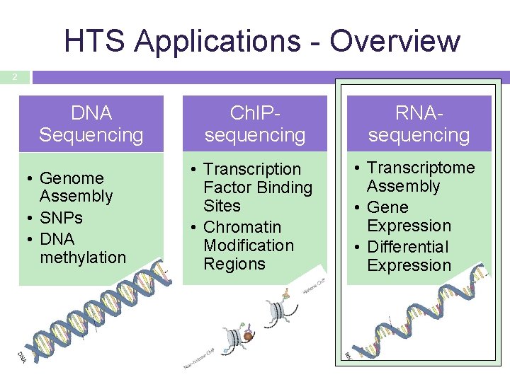 HTS Applications - Overview 2 DNA Sequencing • Genome Assembly • SNPs • DNA