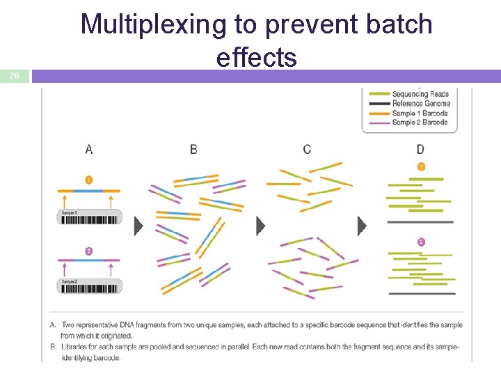 26 Multiplexing to prevent batch effects 