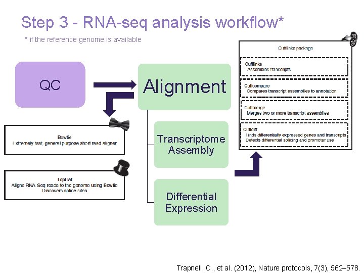 Step 3 - RNA-seq analysis workflow* * if the reference genome is available QC