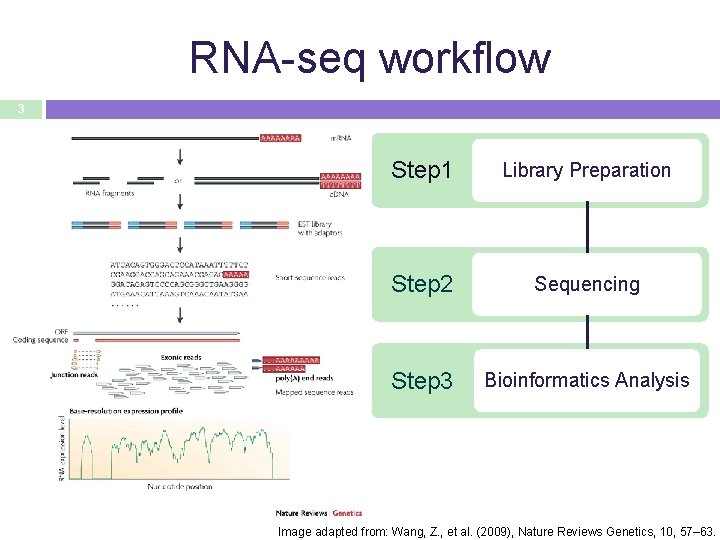 RNA-seq workflow 3 Step 1 Library Preparation Step 2 Sequencing Step 3 Bioinformatics Analysis