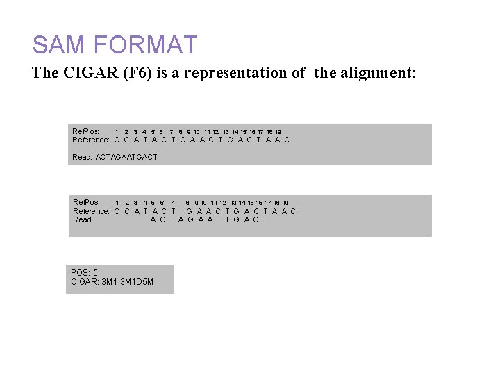 Annotation and alignment files: SAM FORMAT The CIGAR (F 6) is a representation of