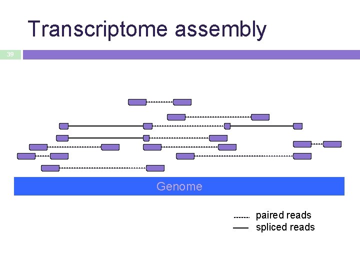 Transcriptome assembly 39 Genome paired reads spliced reads 